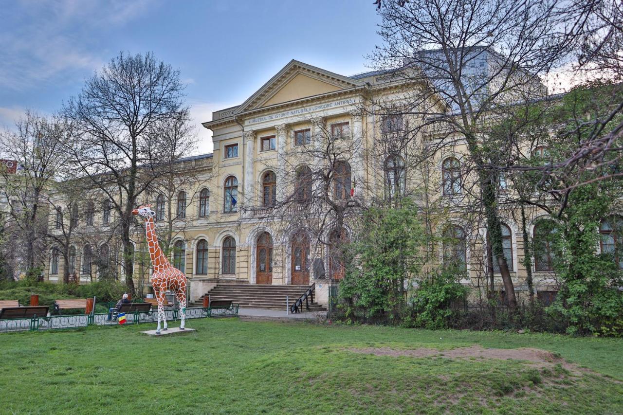 Oak Apartment - Piata Victoriei Bucureşti Exterior foto